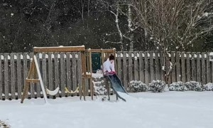 Little Girl Takes A Tumble Sliding Into Snow
