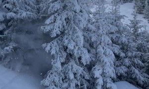 Skier Disappears Into Trees