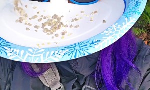 Giving the Bird Face Feeder a Try