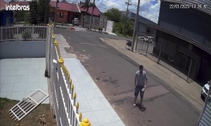 Wrangling Dogs Keeps Going Wrong