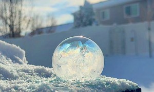 Mesmerizing Frozen Soap Bubbles