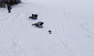 Falling Down Chasing A Sled