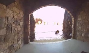 Ice Makes Errands Even Less Fun