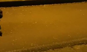 Nose Cleaned By Sidewalk Scrape