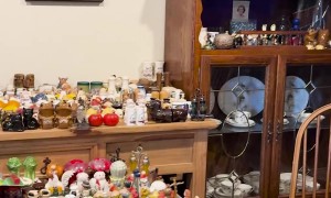 Grandma's Collection of Salt and Pepper Shakers