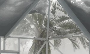 Florida Man Removes Snow From Pool Screen