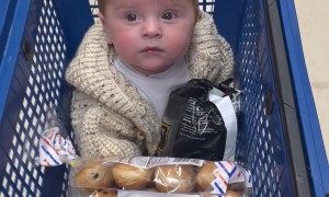 Baby In A Shopping Basket