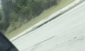 Racing a Tire on the Interstate