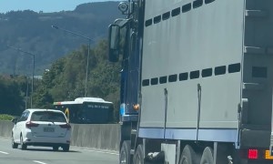 Dog Happily Riding Underneath Semi