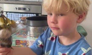 Kids Play With Phallic Bottle Opener