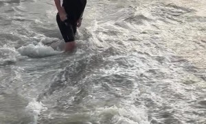 Man Slips On Wet Pavement And Falls Into Sea
