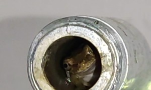 This Frog is a Pipe Peeper