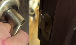 When You're Two Minutes Late Feeding Your Cat