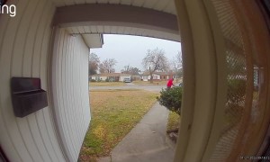 Husband Hollers Over Sudden Squirrel