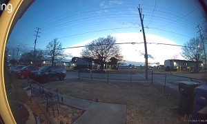 Delivery Driver Makes Impressive Leap Over Fence