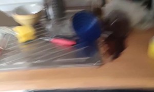 Aging Cabinet Falls During Inspection