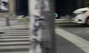 Dinosaur Ride Cruises Down Street