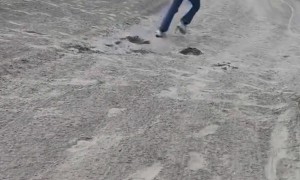 Seagulls Want This Woman's Oreos