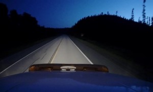 Moose Runs In Front Of Canadian Trucker