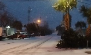 It's Snowing in Florida