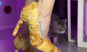 Croissant Shoes