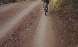 Stray Dog Catches Cyclist's Wheels