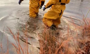 Volunteer Fire Department Rescues Dog In Freezing Lake