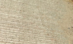 Elephants Accepts Apples as Payment