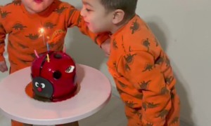 Twins Tussle Over Birthday Candle