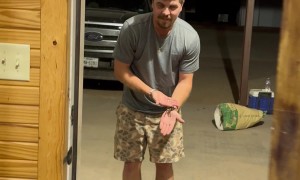 Man Befriends Wild Tarantula