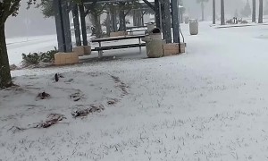 Drone Flies Through Unusually Snowy Florida