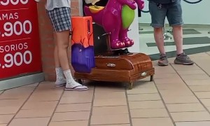 Pet Chicken Gets Treated Like Family