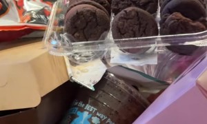 Mechanic Tours Messy Nissan