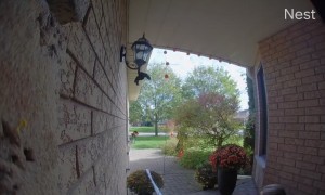 Woman Stumbles While Putting Up Halloween Decorations