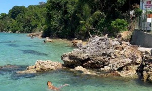 Dog Tries to "Save" Owner From Water