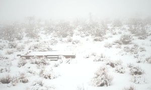 Snowfall in Joshua Tree National Park