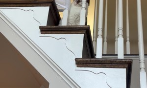 Giving the Cat a Safety Reminder