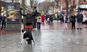 Trick Dog Dances In Town Centre