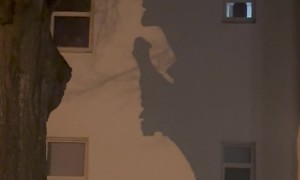Tree Shadow Looks Like Nefarious Person