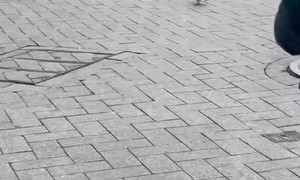 Cyclist Falls In Amsterdam Plaza