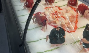 Grocery Store's Chicken Superbowl Display