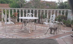 Monkeys Took Over my Veranda