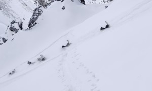 Skier Guides Husky Pack Down Mountain