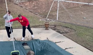Deer Rescued From Pool Cover