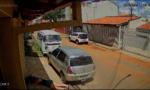 Woman Dives For Loose Dog's Leash