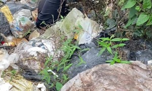 Rescuing Puppy Litter Found In Roadside Cliff Garbage Pile