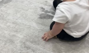 Puppy And Baby Bound To Be Best Friends