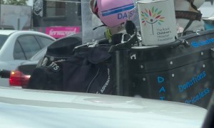 Motorcycle Puppies Raise Money For Children's Hospital