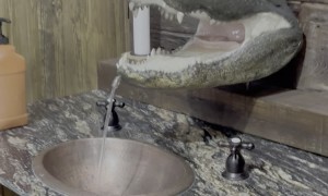 Gator Head Sink Found In Louisiana Restaurant