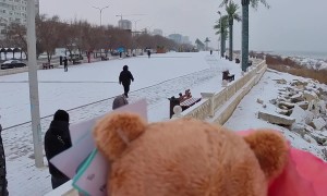 Drone Delivers St. Valentine's Gifts